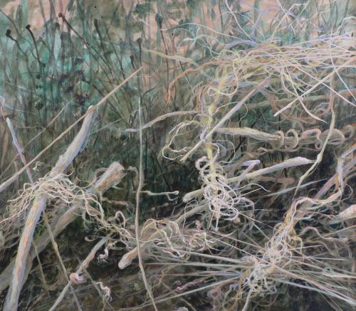 Staré šlahouny a stébla